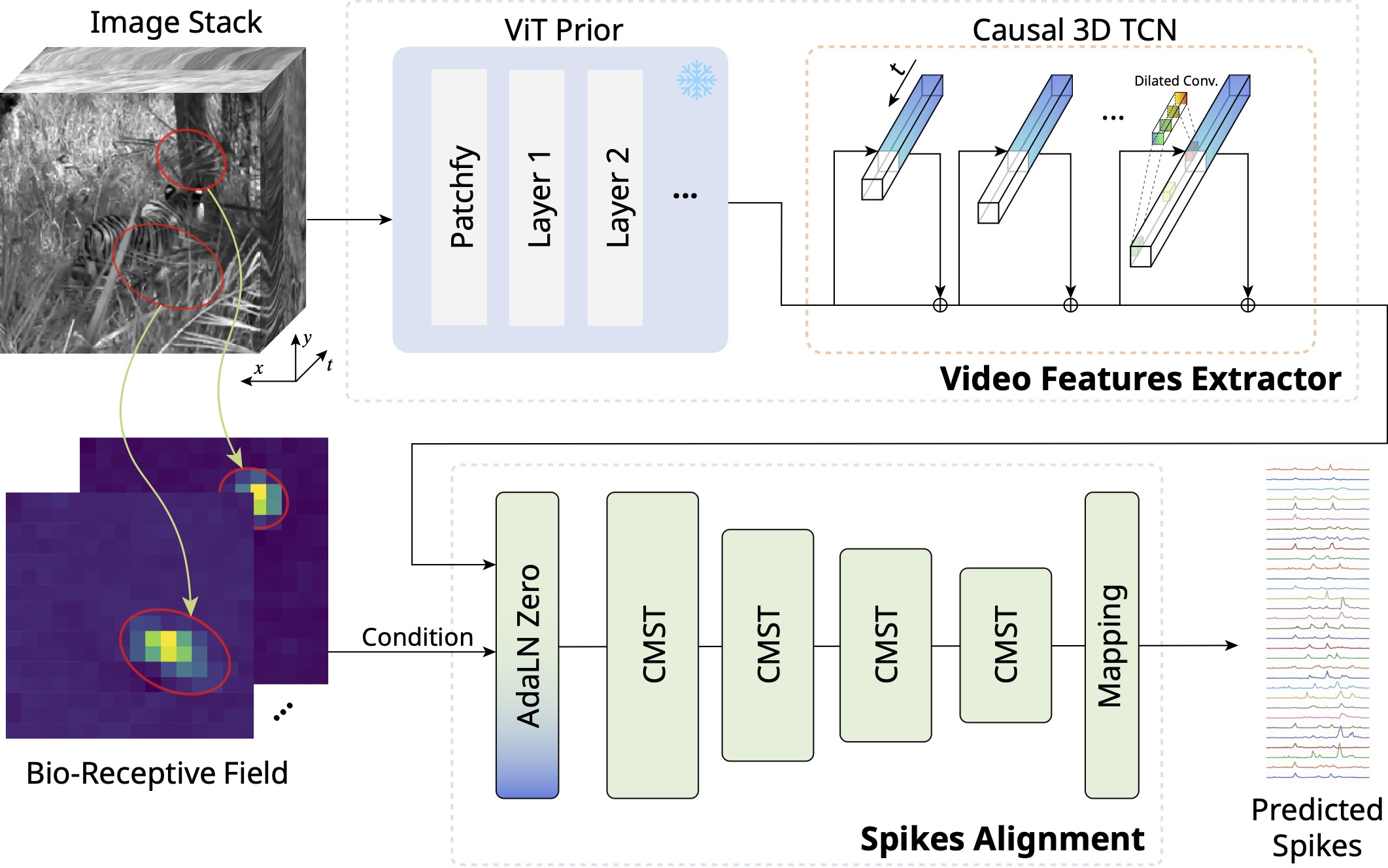 Architecture diagram for the Vi-ST neural response prediction model.